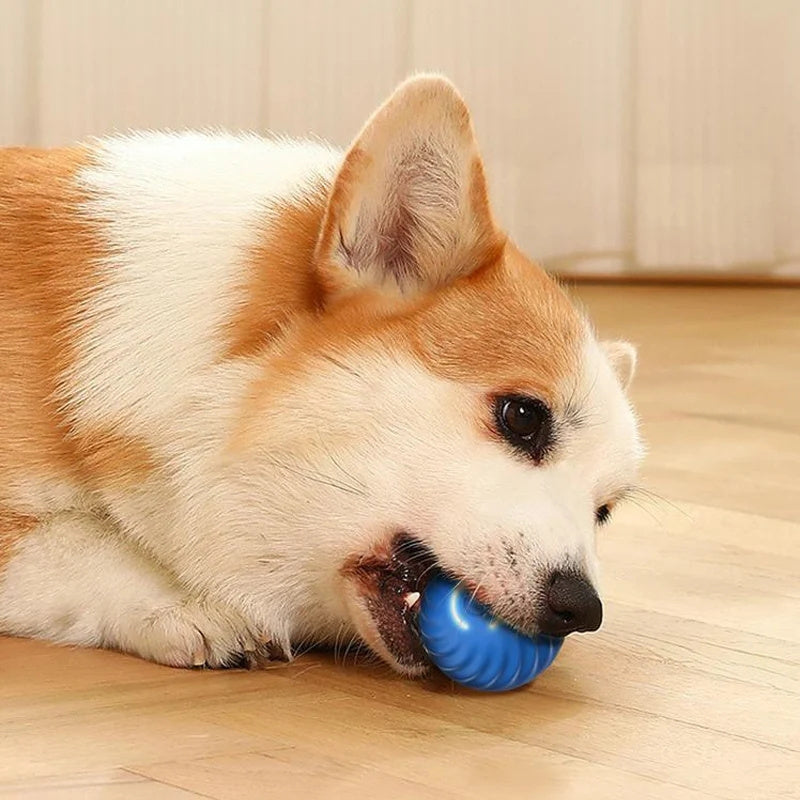 Pelota interactiva para perros y gatos