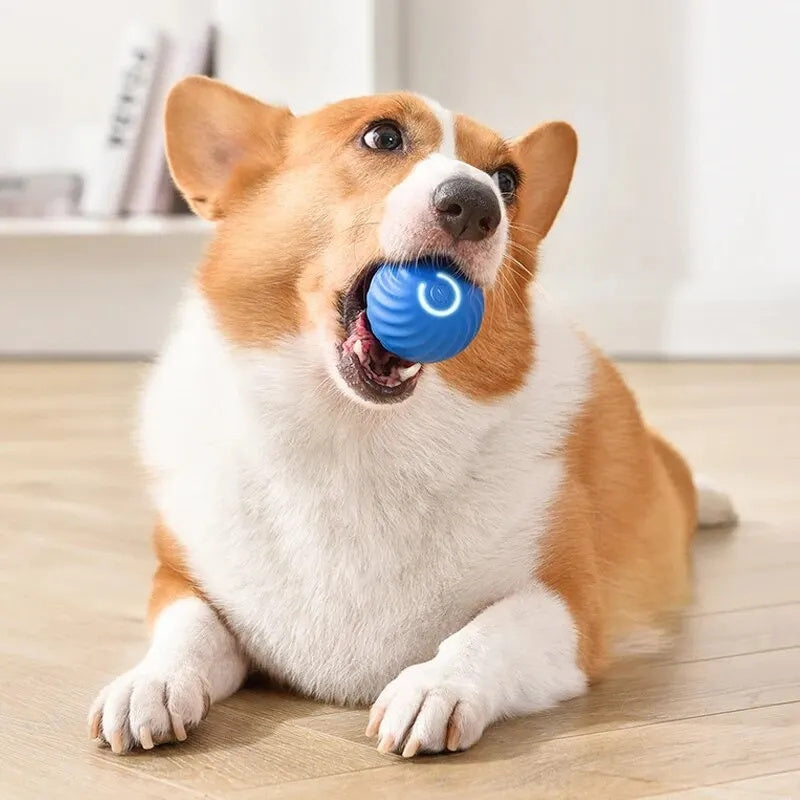 Pelota interactiva para perros y gatos