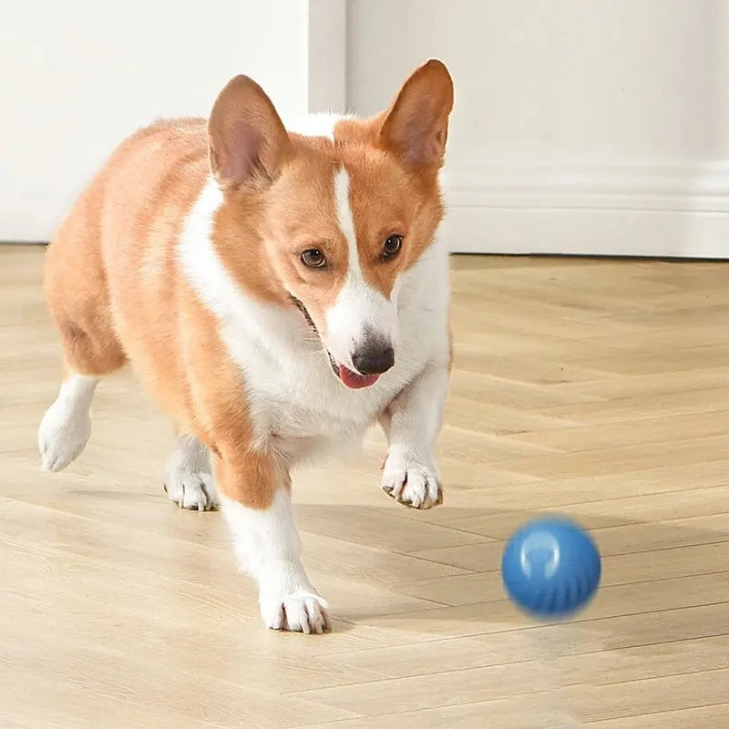 Pelota interactiva para perros y gatos